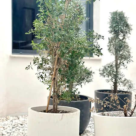 Hostel Alicante Отель Аликанте