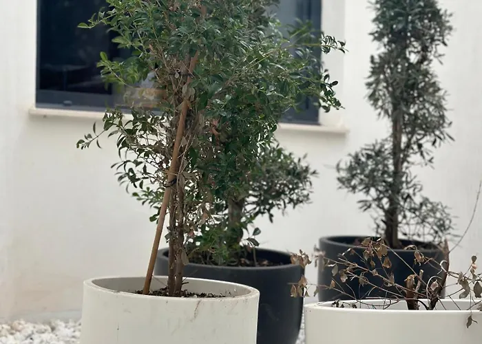 Hostel Alicante 4* Alicante