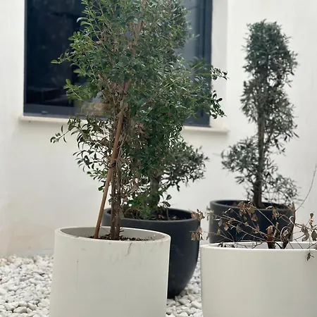 Hostel Alicante 4* Alicante